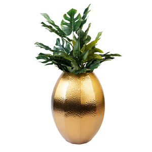 Plant in gold vase
